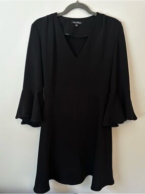 Black V-Neck Ruffle Sleeve Dress